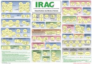 Documents | IRAC