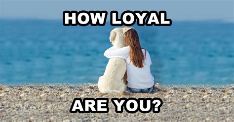 How Loyal Are You? Question 2 - Do you still sleep with a teddy bear?