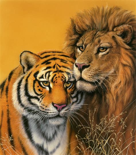 Lion & Tiger Painting by Harro Maass - Fine Art America