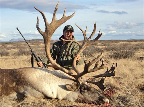 Trophy Mountain Caribou Hunting In Canada - Big Game Hunting Adventures