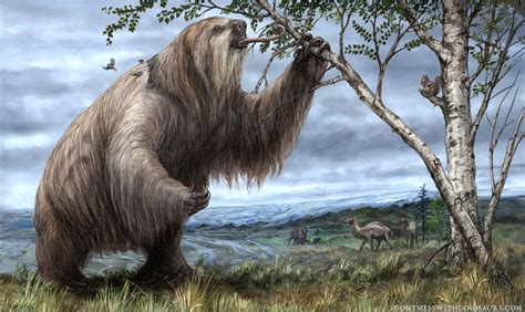 Jefferson's Ground Sloth browsing on foliage in Pleistocene North America. Credit to Brian Engh ...