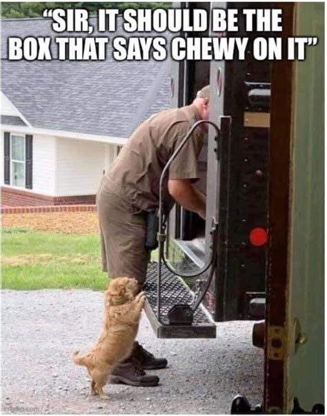 The war between dog and mailman has finally ended | Dogs | Know Your Meme