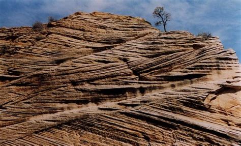 Cross-bedding in the Navajo Sandstone | Zion National Park … | Flickr ...