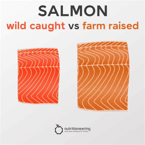 5 oz Salmon Protein Content By Type - Quick Nutrition Guide