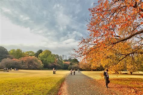 Fall Colors in Tokyo 2011 Pictures – Harajuku, Shinjuku & Aoyama ...