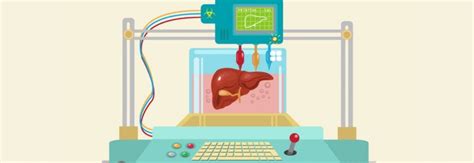 Poietis' 4D Bioprinting Liver Model Could Improve Drug Toxicity Testing