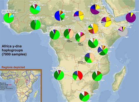 Leherensuge: Nice Y-DNA map of Africa