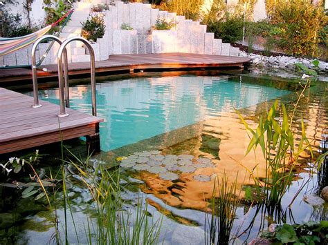 5 Reasons your garden will thank you for choosing a natural swimming pool - Clear Water Revival