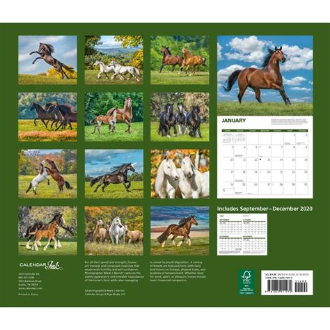 Horse Race Calendar 2024 - Calendar Printables