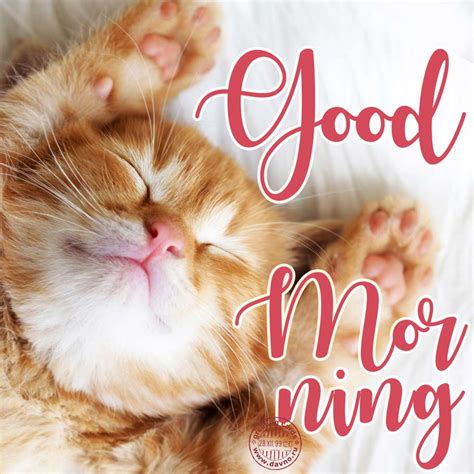 Good morning card with a cute cat - Download on Davno