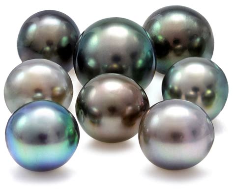 Black South Sea Pearls - Devino Pearls