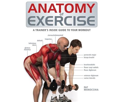 Anatomy of Exercise: A Trainer's Inside Guide to Your Workout | Workout ...