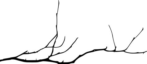 15 Simple Tree Branch Silhouettes (PNG Transparent) | OnlyGFX.com