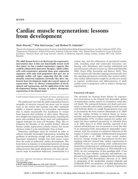 (PDF) Cardiac muscle regeneration: Lessons from development