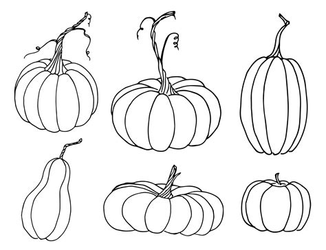 Pumpkin sketch set. Vector hand drawn illustration in outline style for Halloween or Harvest ...