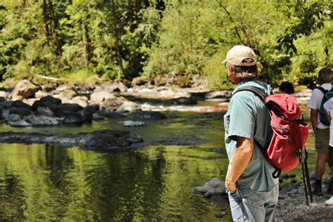 Experience the Nisqually Wildlife Refuge — Birding, Photography, Hiking ...