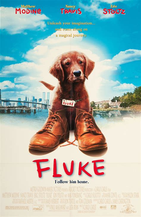 Fluke (1995)