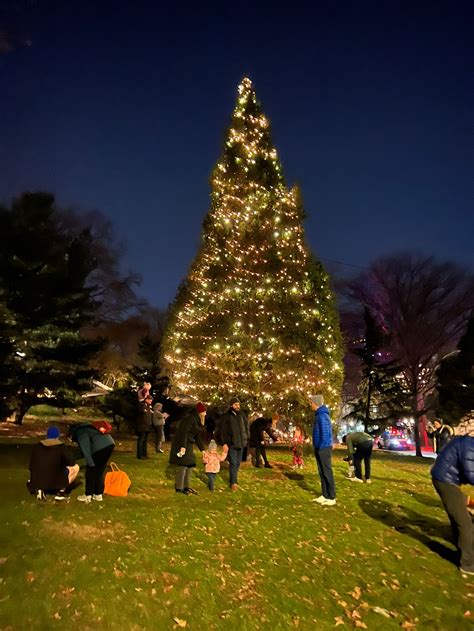 Winter Celebration | Morningsidepark.org