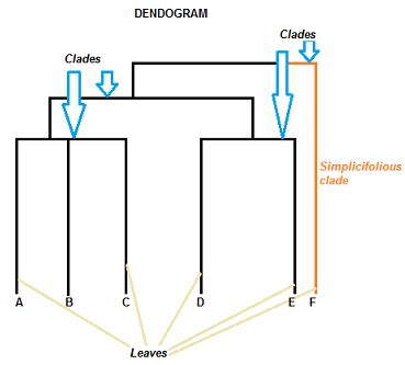 What is Hierarchical Clustering? - KDnuggets