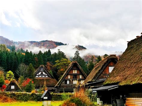 Top 10 Things to Do in Japan in November - Japan Web Magazine