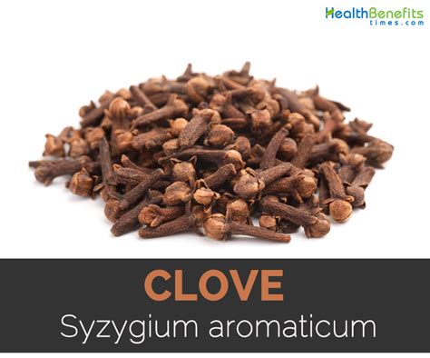 Clove Facts, Health Benefits and Nutritional Value