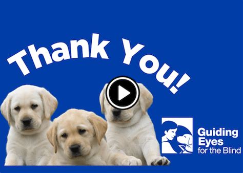 Celebrating National Volunteer Week 2023 - Guiding Eyes for the Blind