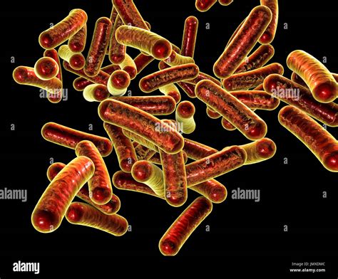 Shigella dysentery hi-res stock photography and images - Alamy