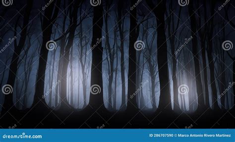 Spooky Night Forest with Darkness and Tall TREES in High Resolution ...