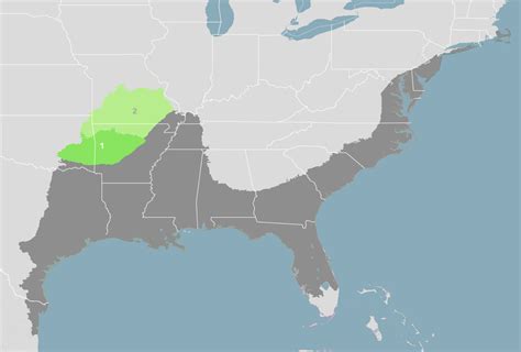 Ozarks Mixed Forests (NA22) | One Earth