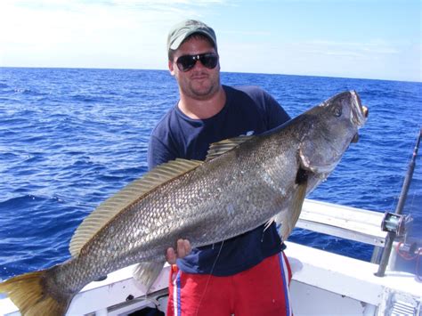 Tweed Heads Fishing Charters | Deep Sea Fishing | Reef and Game