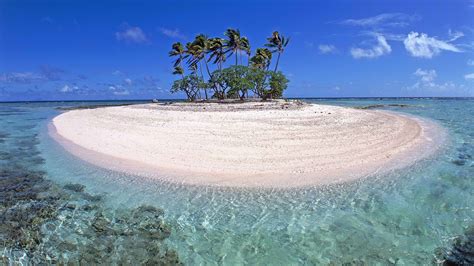 A small island with trees wallpapers and images - wallpapers, pictures, photos