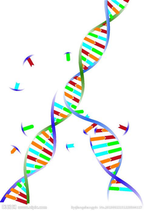 DNA双螺旋结构图设计图__科学研究_现代科技_设计图库_昵图网nipic.com