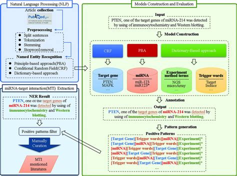 Natural language processing (NLP) techniques for finding MTI articles.... | Download Scientific ...