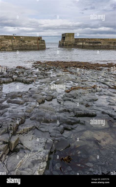 Harbour, Craster, Northumberland, England, UK Stock Photo - Alamy