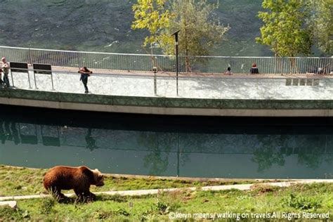 Switzerland’s Controversial Bear Pit in Bern