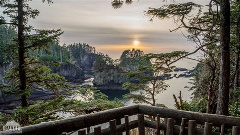 Cape Flattery Trail, Olympic National Park coastal hike, WA | National ...