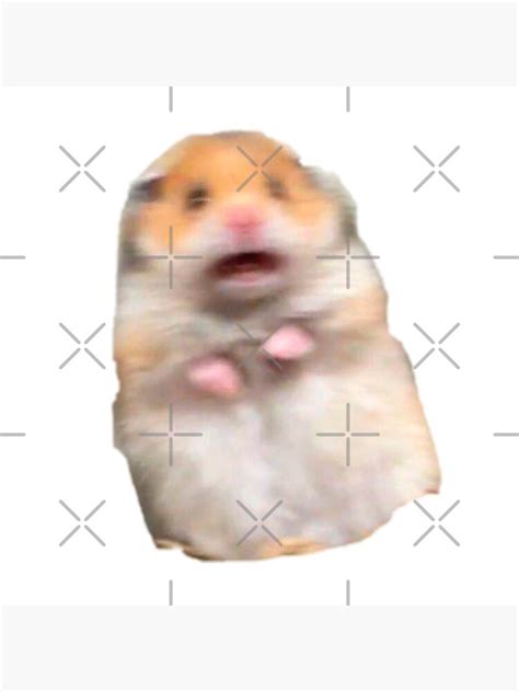 "Scared Hamster Meme" Art Print for Sale by aMemeStore | Redbubble