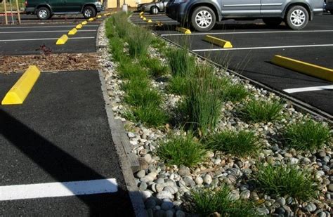 parking lot landscaping | spa | Pinterest