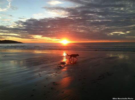 Beautiful shot from GMG of Good Harbor Beach at sunrise. | Harbor beach ...