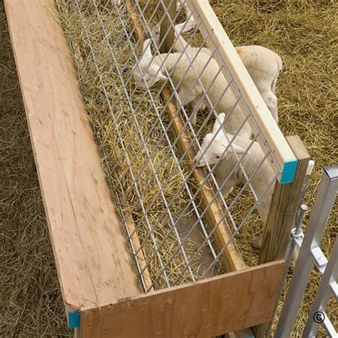 30" panel for goats & sheep - Build Your Own Feeders Image Gallery | Barn Projects | Pinterest ...