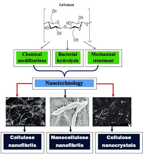 Production of nanocellulose. | Download Scientific Diagram