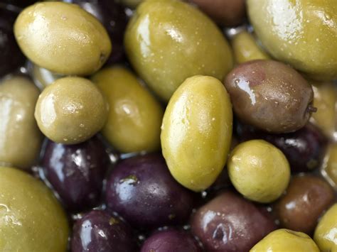 10 Varieties of Fruiting Olive Trees You Can Grow