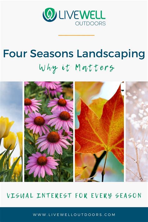 Four Seasons Landscaping – Why It Matters - Live Well Outdoors