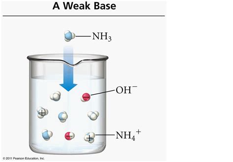 Strong vs. Weak Alkalis