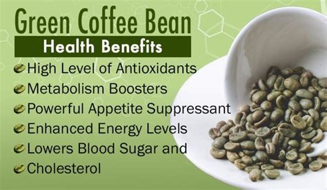 A Scientific Approach To Green Coffee Beans For Weight Loss - Fitneass