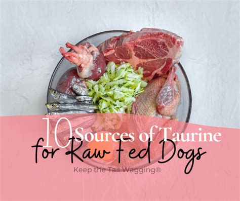 10 Sources of Taurine for Raw Fed Dogs