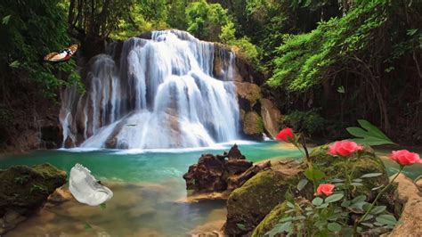 The Magical Waterfall: 1 hour of relaxing waterfalls and nature sounds. Meditation and ...