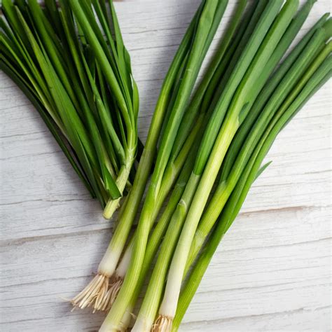 Green Onions vs Chives, What's the Difference Between The Tasty Greens