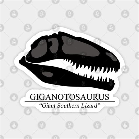 Giganotosaurus Skull - Dinosaurs - Magnet | TeePublic