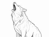 Nocturnal Howling Wolf Coloring  Page sketch template